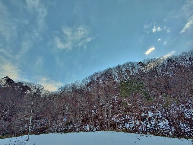 IMG_20220129_162238043_HDR