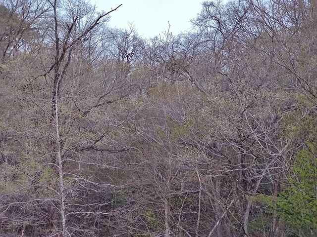 IMG_20220419_182323554