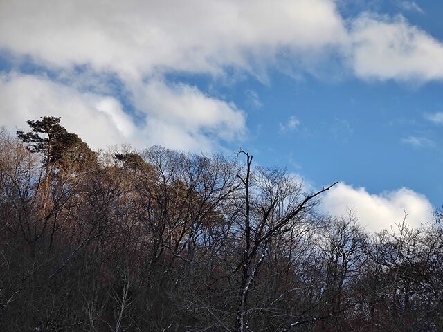 IMG_20220205_161119343