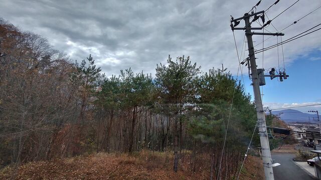 IMG_20221126_114929262_HDR