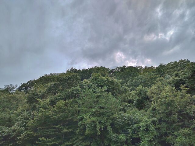 IMG_20220901_180227425_HDR