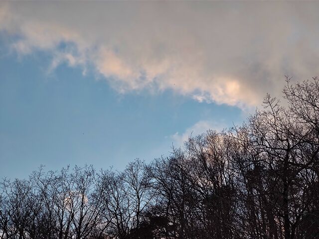 IMG_20220131_164114022_MP