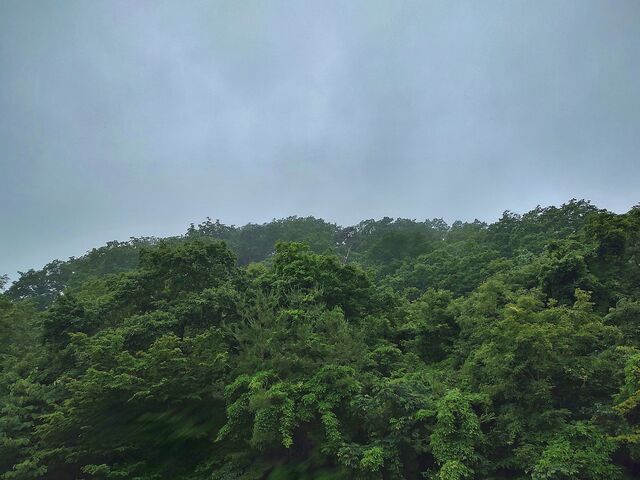 IMG_20220623_181105964_HDR