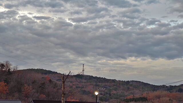 IMG_20221129_064243068