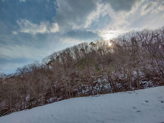 IMG_20220226_152547828_HDR_edited