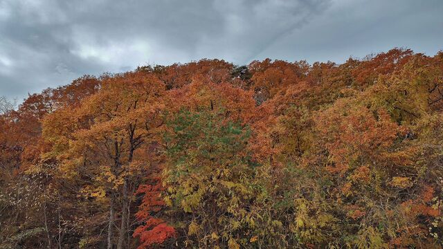 IMG_20221113_101318494_HDR