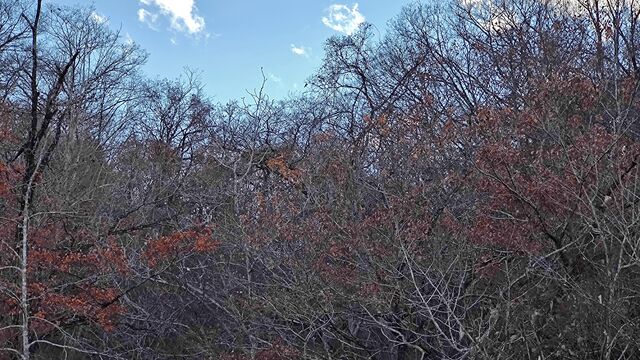 IMG_20221126_145813180