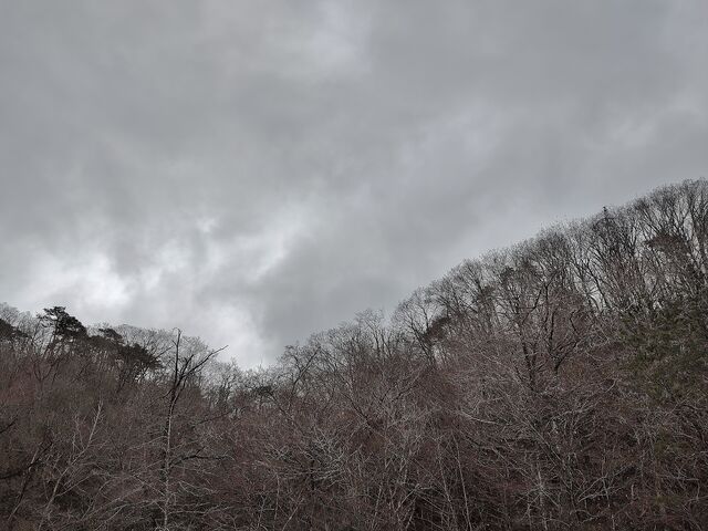 IMG_20220405_090722084