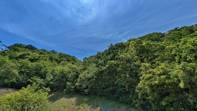 PXL_20260513_020919667