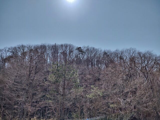 IMG_20220409_132356166_HDR