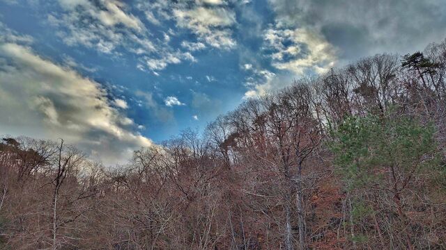 IMG_20221204_144649617_HDR-01