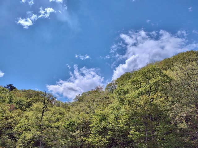 IMG_20220503_101410261_HDR