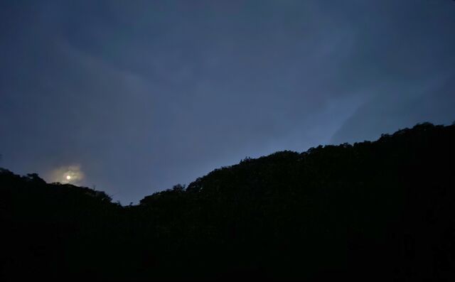 IMG_1764