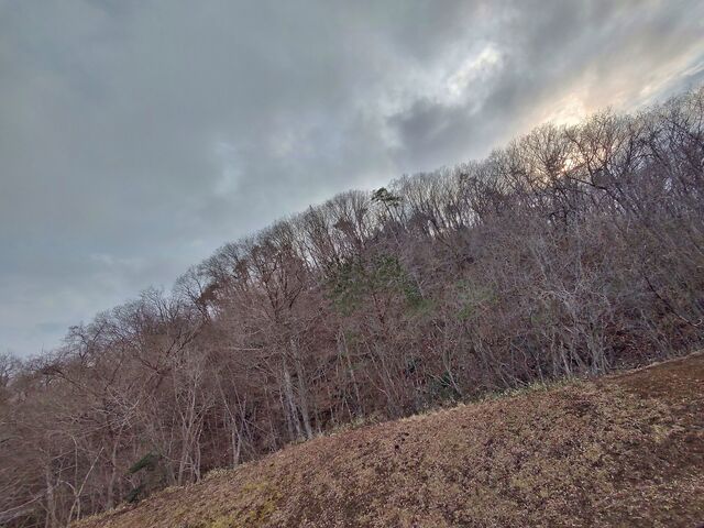 IMG_20220313_161459469_HDR