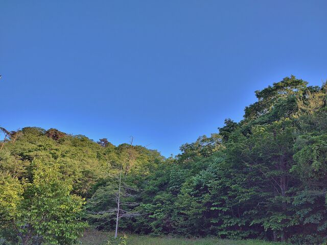 IMG_20220524_172607543_HDR