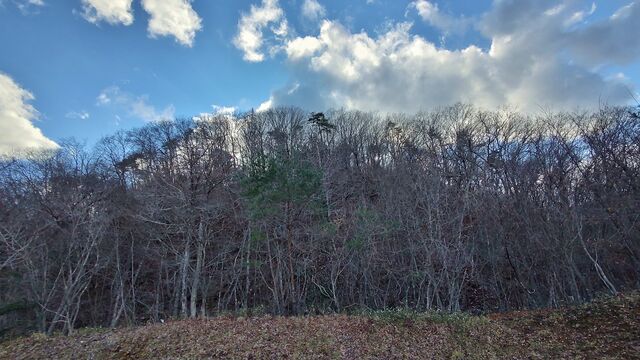 IMG_20221230_143708653_HDR
