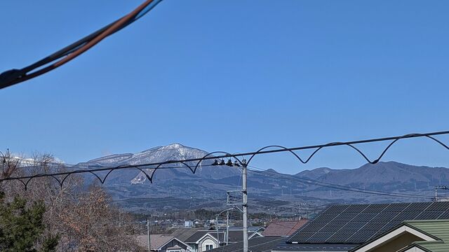 PXL_20260312_015852976