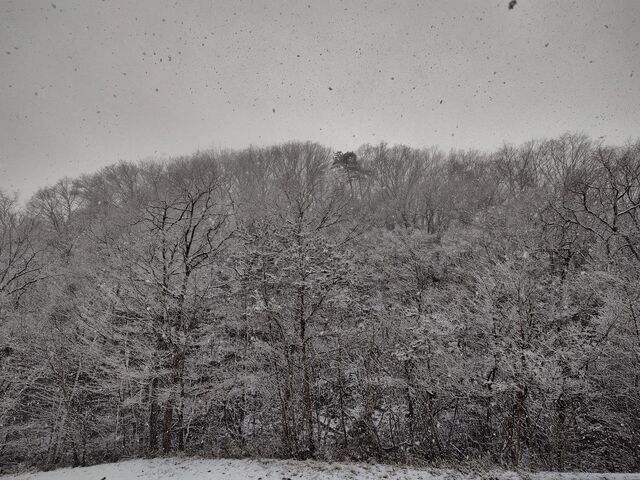 IMG_20220306_091920563_HDR