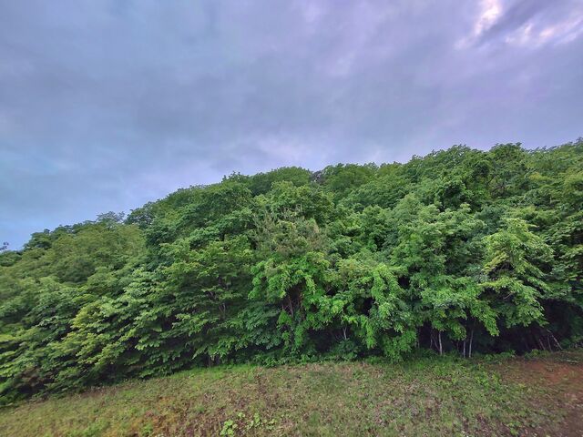 IMG_20220522_174735573_HDR