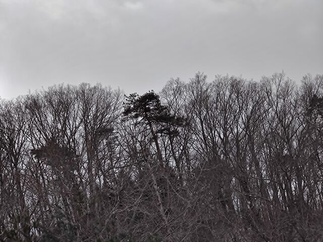 IMG_20220206_113024247