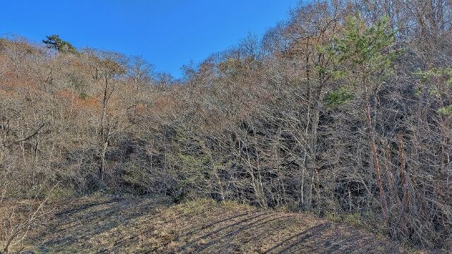 PXL_20260408_060549240 (640x360)