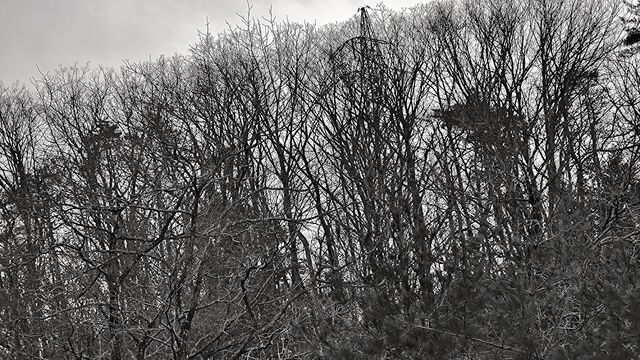 IMG_20221218_142052024