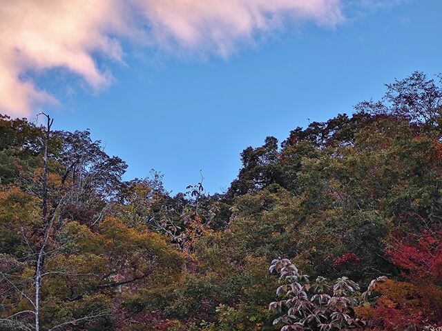 IMG_20221030_161841654