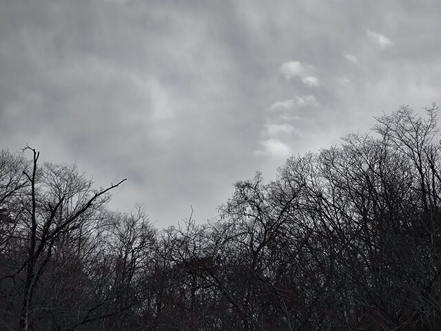 IMG_20220129_141915666