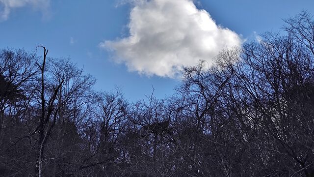 IMG_20221230_143721388