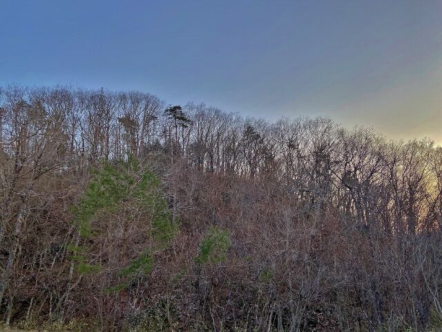 IMG_4722 (640x480)