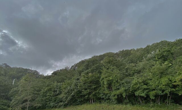 IMG_6820