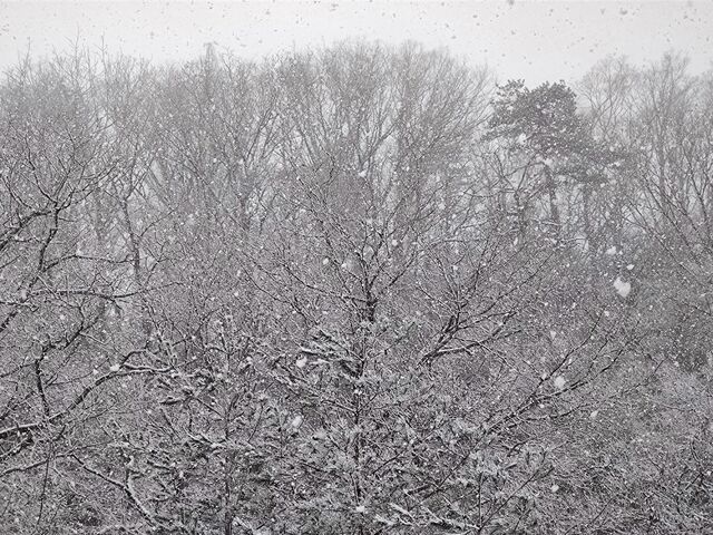 IMG_20220306_092003876