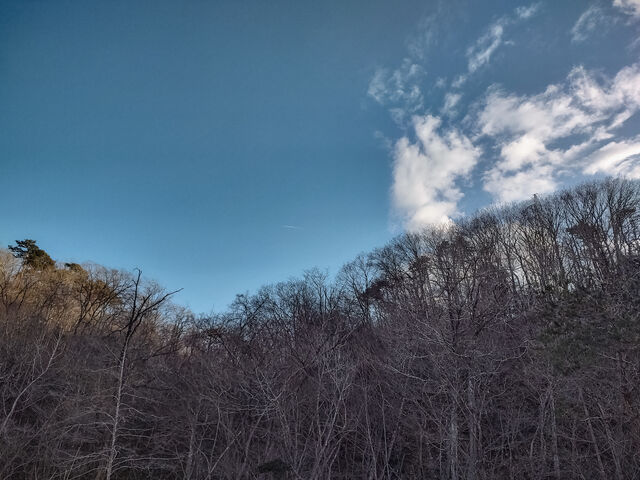 IMG_20220320_162813149_HDR_edited