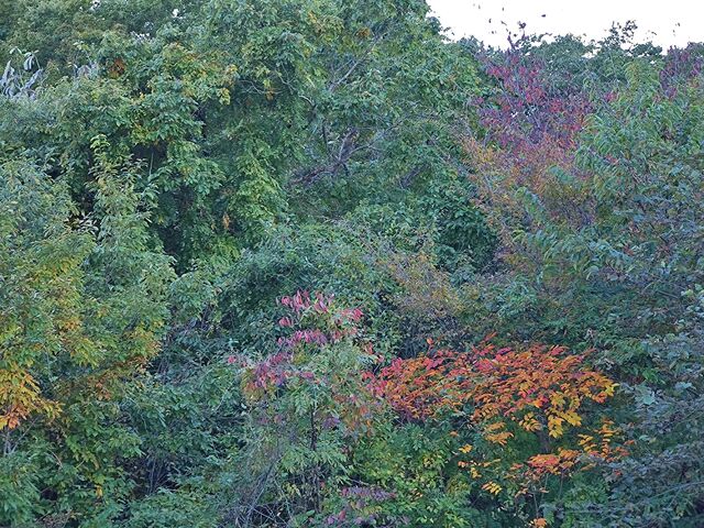 IMG_20221030_151858697
