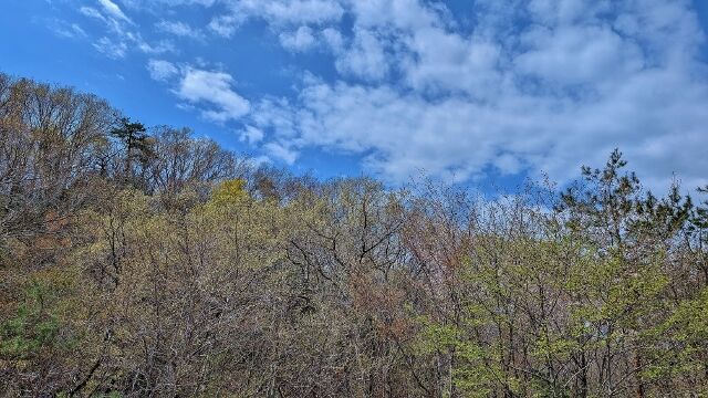 PXL_20260416_021224033 (640x360)