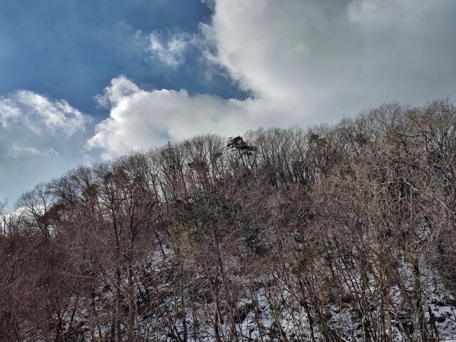 IMG_20220206_103325165_HDR