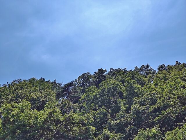 IMG_20220703_140302121