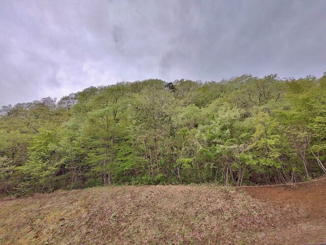 IMG_20220501_072811090_HDR
