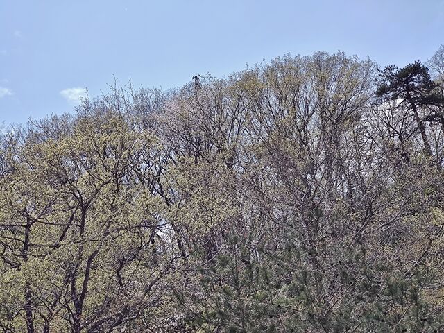 IMG_20220423_114548319