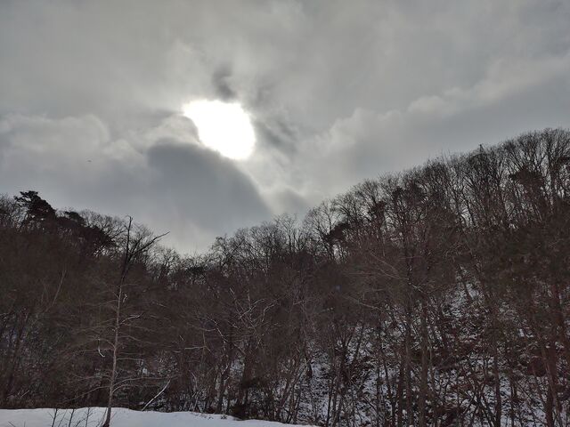 IMG_20220206_113119830