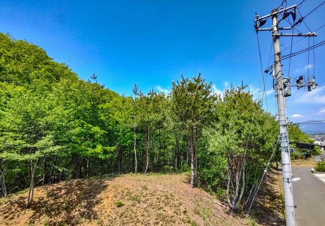 IMG_20220507_101118840_HDR_edited