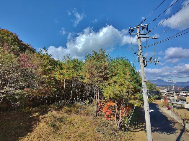 IMG_20221103_101120957