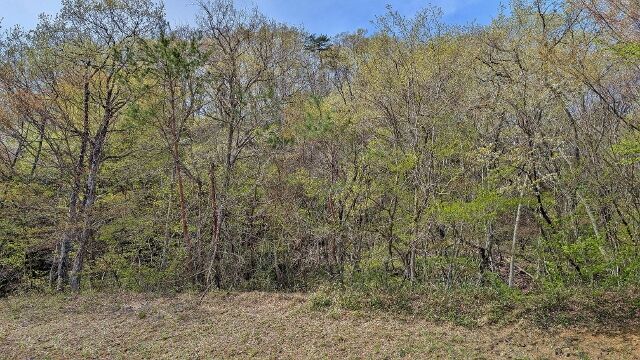 PXL_20260419_005829577 (640x360)