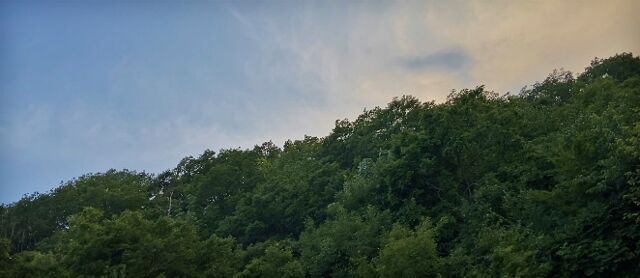 IMG_2447 (640x278)