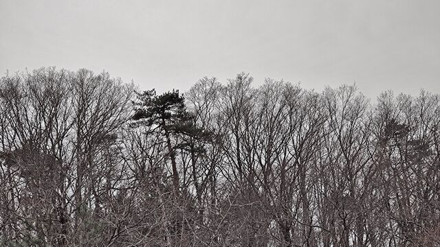 IMG_20221229_122929901