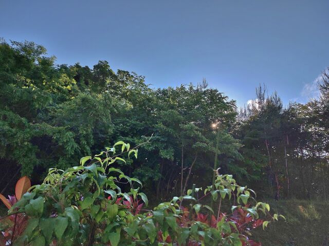 IMG_20220527_170752294_HDR