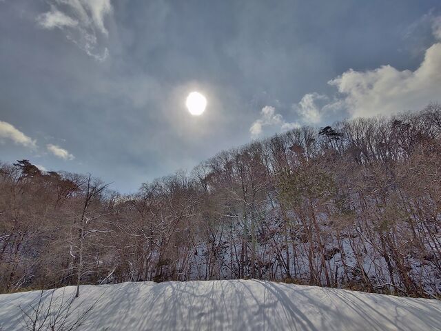 IMG_20220223_122040935_HDR