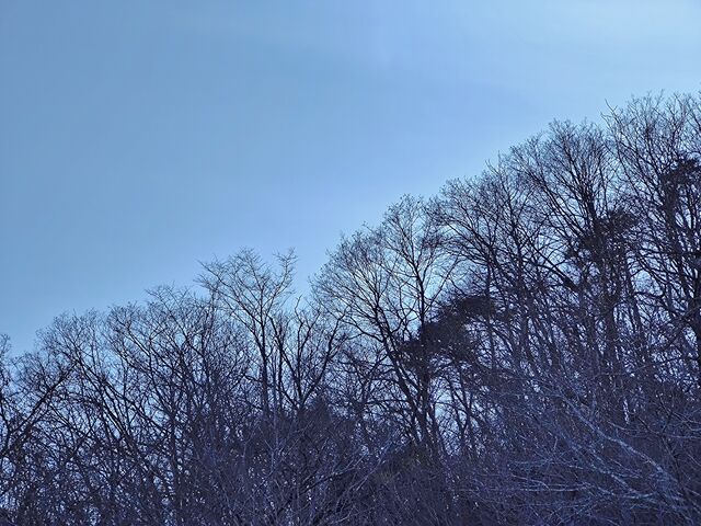 IMG_20220123_143355441
