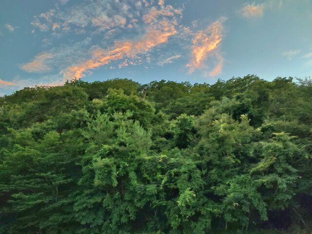 IMG_20220723_190126754_HDR