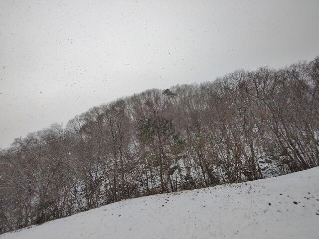 IMG_20211231_102857020